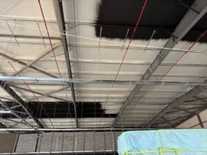 whatsapp image 2025 07 22 at 20.14.34 (1)